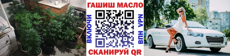 ТГК THC oil  где купить наркоту  Гаврилов Посад 