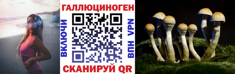 ссылка на мегу ссылки  Гаврилов Посад  Псилоцибиновые грибы мицелий 