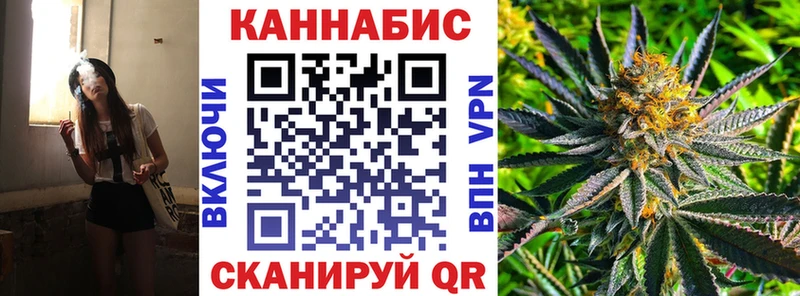Бошки марихуана план  наркошоп  Гаврилов Посад 